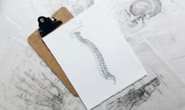 Understanding Normal Spinal Curves, Lordosis, Kyphosis, and Scoliosis