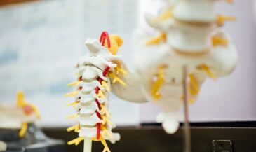 Neuroception and Polyvagal Theory: How the Nervous System Detects Threat and Safety