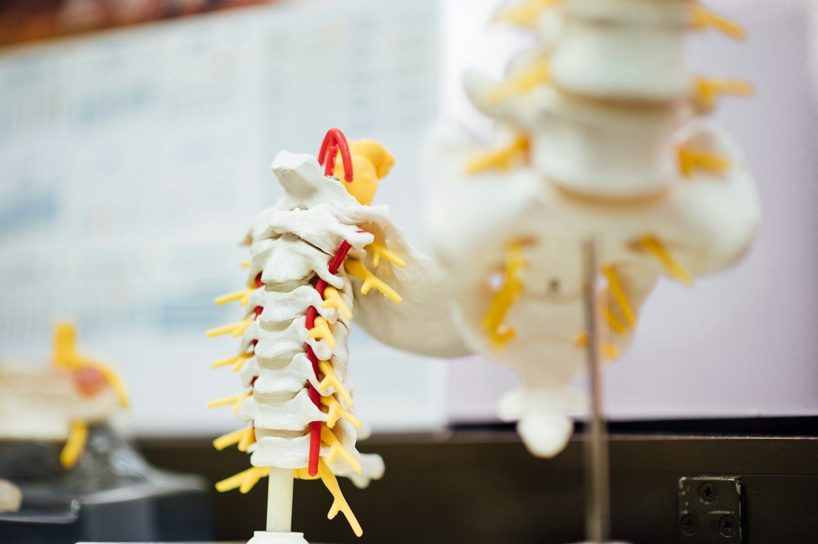 Neuroception and Polyvagal Theory: How the Nervous System Detects Threat and Safety